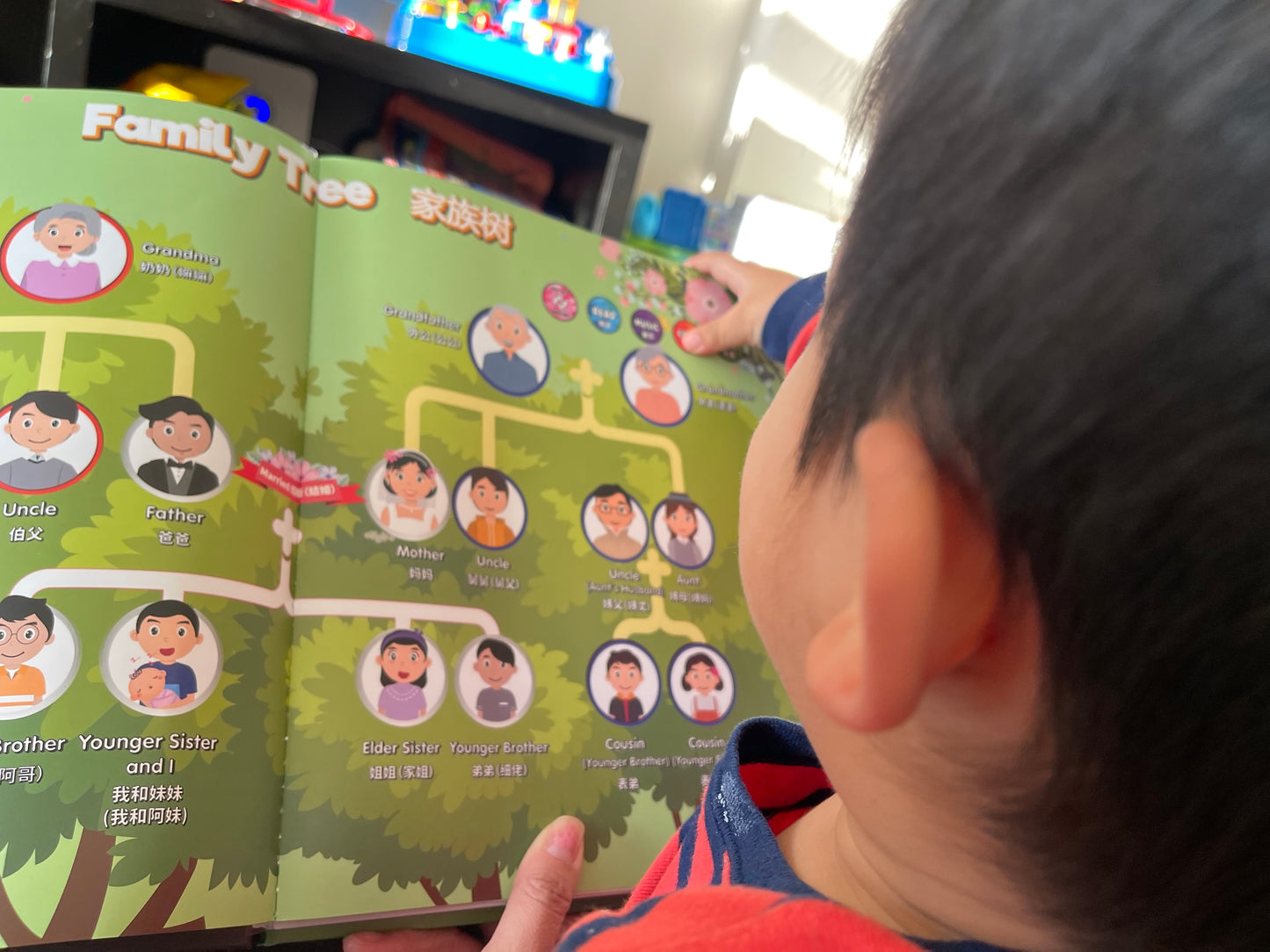 Image of toddler reading Chinese family and relative names in Bilingual Mandarin Cantonese English language learning audio book for kids