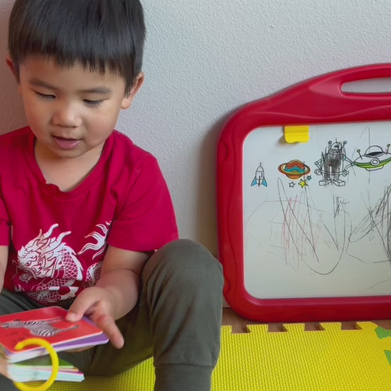 Video of kid playing with Chinese English Pinyin bilingual flashcards