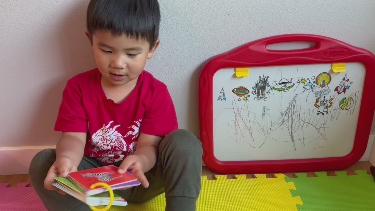 Video of kid playing with Chinese English Pinyin bilingual flashcards